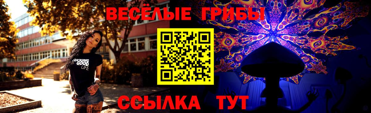 Псилоцибиновые грибы ЛСД Котовск